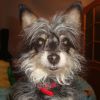 DSC04440.JPG