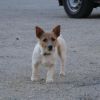 DSC02830.JPG
