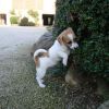 DSC02851.JPG