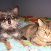 DSC04462.JPG