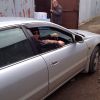 IMG 0460 IMG 0460