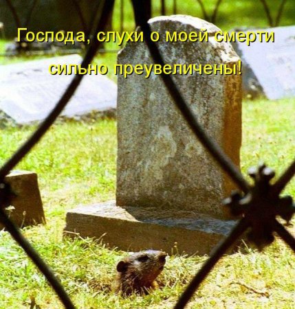 Прикрепленное изображение: VQ.jpg