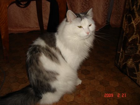 Прикрепленное изображение: DSC07556.JPG