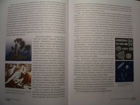 Прикрепленное изображение: 093.JPG