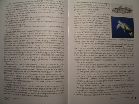 Прикрепленное изображение: 099.JPG
