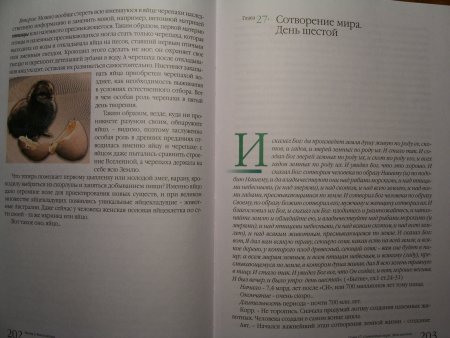 Прикрепленное изображение: 100.JPG