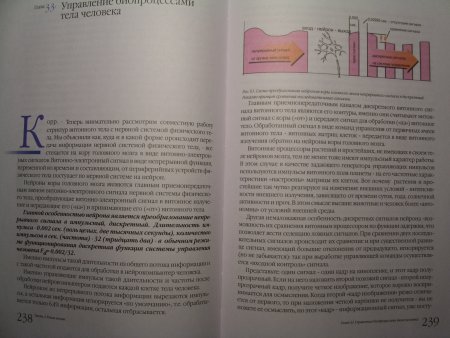 Прикрепленное изображение: 118.JPG