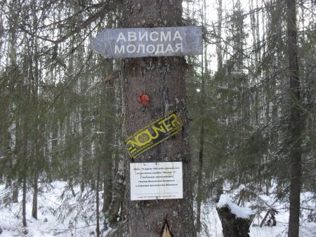 Прикрепленное изображение: 2007 год нашивка.jpg