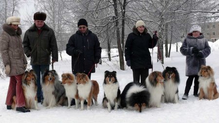 Прикрепленное изображение: svce.jpg