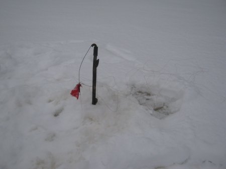 Прикрепленное изображение: IMG_0329.JPG