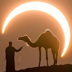 Караванщик Али