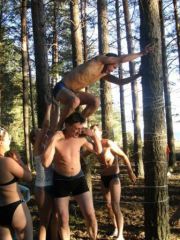 Тимбилдинг