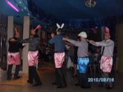 Кролик -шоу