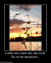 ab2e3c16cb6f.jpg