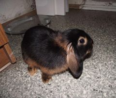 DSCF3046.JPG