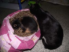 DSCF3109.JPG