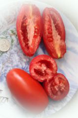 сэр элиан F1