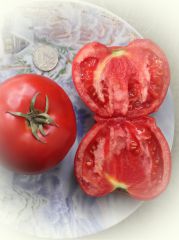 задуреллаF1