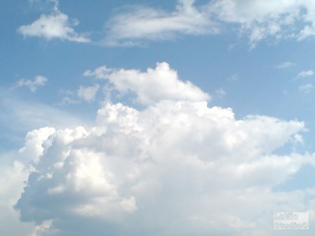 post-18213-1296251434_thumb.jpg