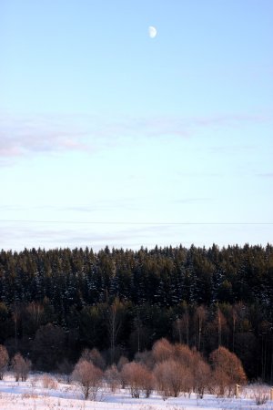 post-26955-0-46618000-1325588876_thumb.jpg