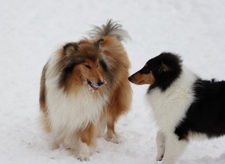 post-26955-0-64998800-1326125501_thumb.jpg