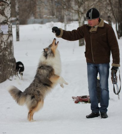 post-26955-0-77687800-1326128392_thumb.jpg