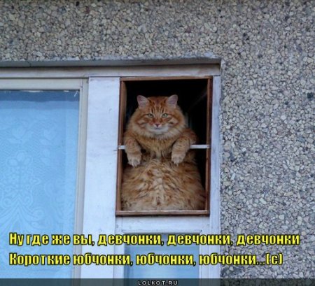 post-29417-0-03354800-1325649370_thumb.jpg