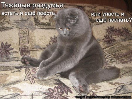 post-29417-0-05265000-1325913851_thumb.jpg
