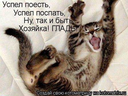 post-29417-0-41715500-1326341141_thumb.jpg