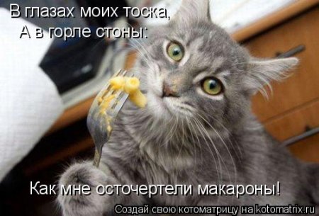 post-29417-0-44178000-1327582794_thumb.jpg
