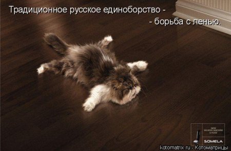 post-29417-0-44709000-1325689151_thumb.jpg