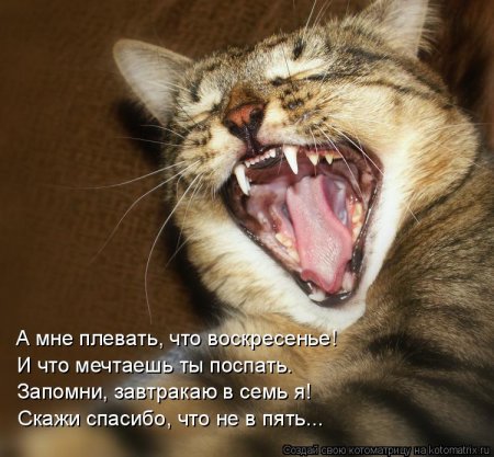 post-29417-0-47660300-1325995233_thumb.jpg