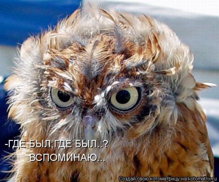 post-29417-0-49637500-1325779686_thumb.jpg