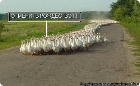 post-29417-0-55607800-1325739312_thumb.jpg