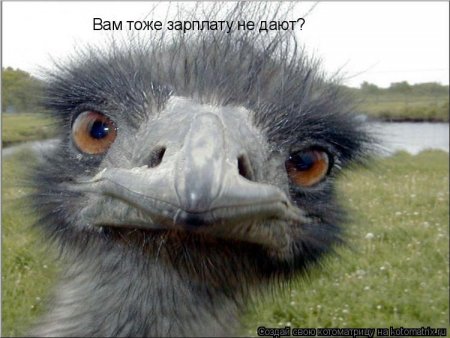 post-29417-0-58472200-1326790799_thumb.jpg