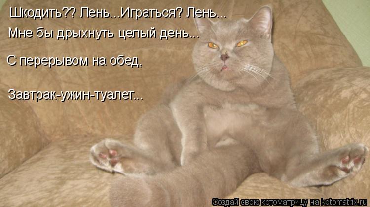 Прикольные картинки спите что ли