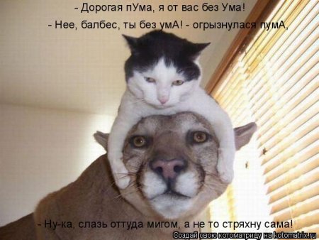 post-29417-0-64742400-1326285535_thumb.jpg