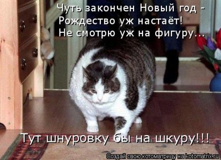 post-29417-0-72728800-1326368416_thumb.jpg