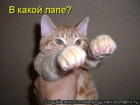 post-29417-0-75077100-1325758469_thumb.jpg