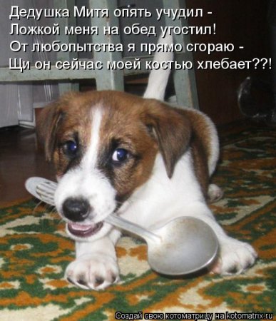 post-29417-0-93178100-1325755836_thumb.jpg