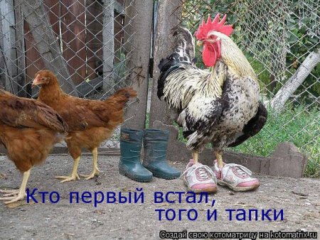 post-29417-0-93438200-1326512646_thumb.jpg