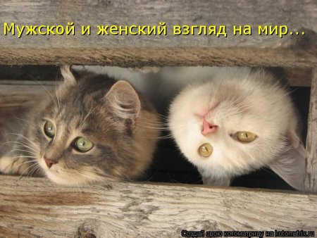 post-29417-0-94716400-1325690400_thumb.jpg