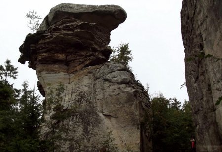 post-54624-0-63580000-1358069313_thumb.jpg