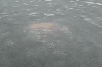 post-6662-0-98316000-1420737451_thumb.gif