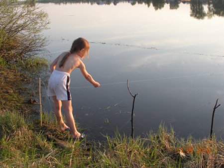 post-31549-1296868225_thumb.jpg