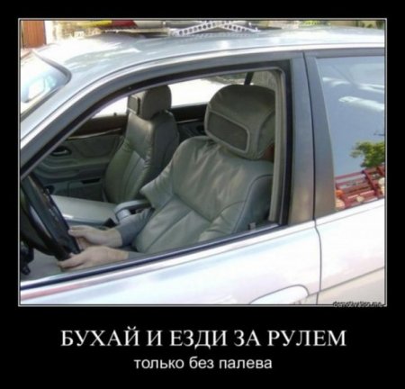 post-30539-0-31057200-1330075432_thumb.jpg