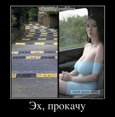 post-31462-0-22561100-1330528751_thumb.jpg
