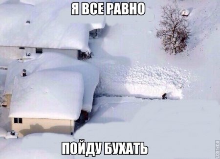 post-45295-0-43028900-1422767400_thumb.jpg