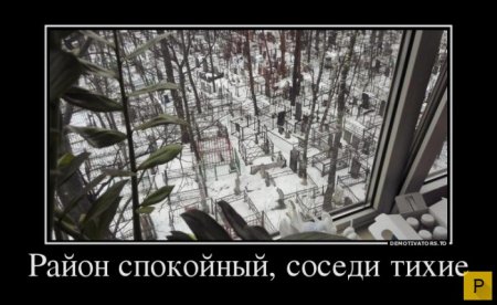 post-29704-0-23343100-1455546362_thumb.jpg
