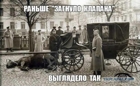 post-18417-0-60782800-1486616586_thumb.jpg